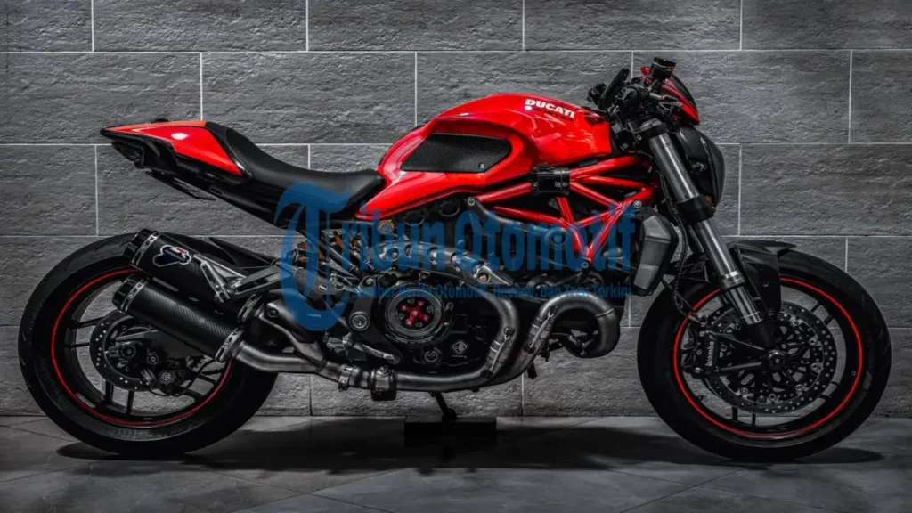 Ide Modifikasi Ducati Monster 821: Tema Apa yang Paling Cocok