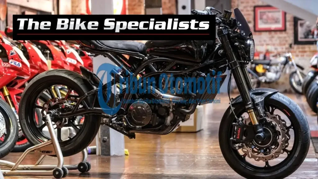 Ciri Khas Spitfire Foggy Stealth Edition: Spesifikasi Build Karbon dan Titanium Terbaik di Kelasnya