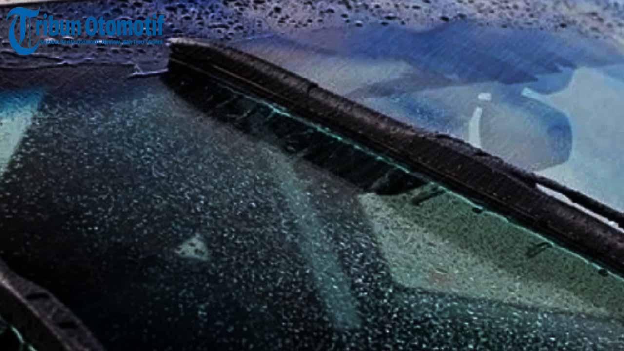 Kaca Mobil Berjamur Karena Hujan? Ini Trik Mudah Menghilangkannya Tanpa ke Bengkel