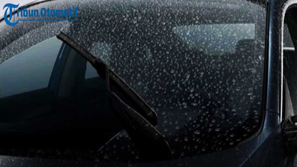 Kaca Mobil Berjamur? Ini Trik Mudah Menghilangkannya